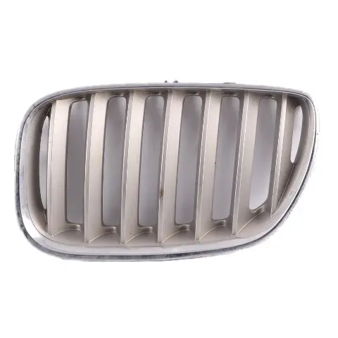 BMW X5 E53 Capot Grille Decorative Lufteintritt Gauche Droite Kit - SKU 7113734-1 - Numéro de pièce 7113734