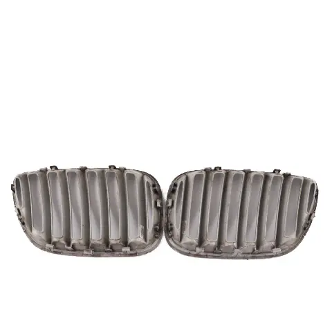 Motorhaube Ziergitter Lufteintritt Links Rechts Set für BMW X5 er E53 mit Teilenummer 7113734 BMW X5 er E53 Motorhaube Ziergitter Lufteintritt Links Rechts Set - SKU 7113734-1 - Teilenummer 7113734