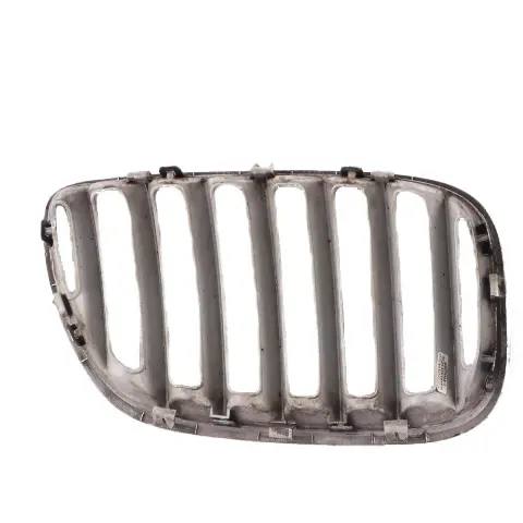 Front Grille Kidney Radiator Air Inlet Left Right N/O/S Set to BMW X5 E53 with Part number 7113734 BMW X5 E53 Front Grille Kidney Radiator Air Inlet Left Right N/O/S Set - SKU 7113734-1 - Part number 7113734