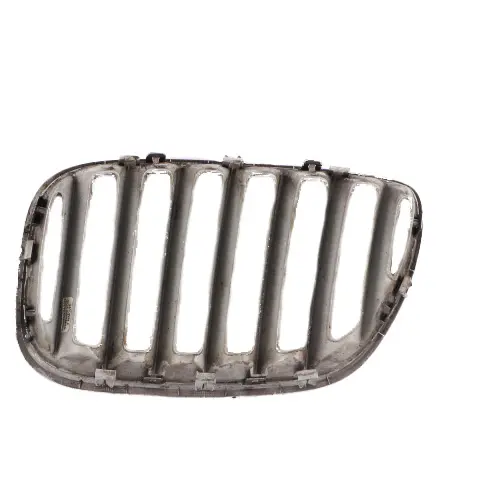 Front Grille Kidney Radiator Air Inlet Left Right N/O/S Set to BMW X5 E53 with Part number 7113734 BMW X5 E53 Front Grille Kidney Radiator Air Inlet Left Right N/O/S Set - SKU 7113734-1 - Part number 7113734