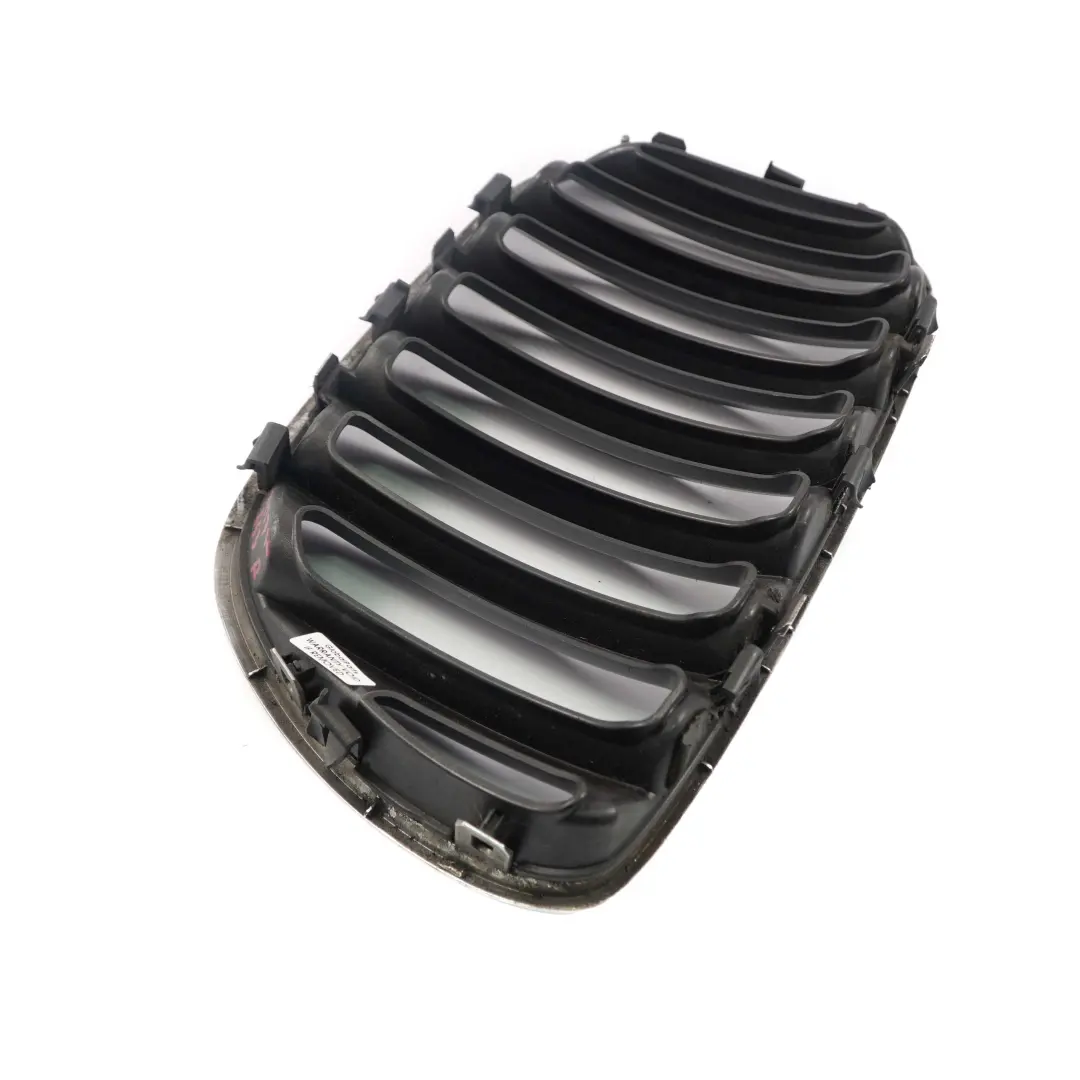 Front Radiator Kidney Grille Air Inlet Right O/S to BMW X5 Series E53 with Part number 7113734 BMW X5 Series E53 Front Radiator Kidney Grille Air Inlet Right O/S - SKU 7113734 - Part number 7113734