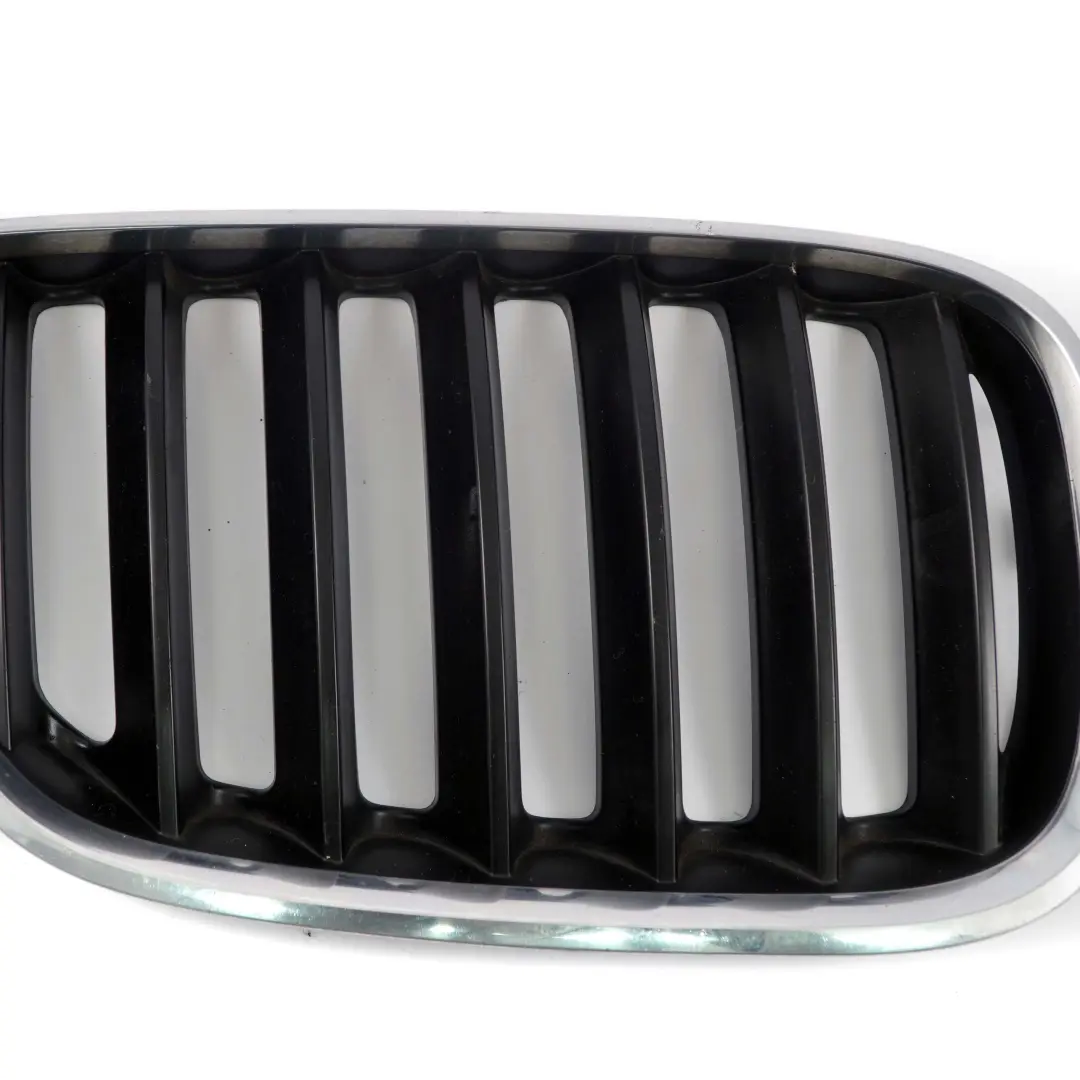 BMW X5 E53 Kratka nerka grill maski prawy - SKU 7113734 - Numer Części 7113734
