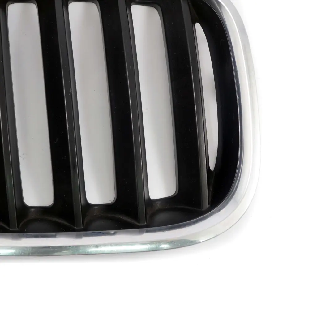 BMW X5 E53 Kratka nerka grill maski prawy - SKU 7113734 - Numer Części 7113734
