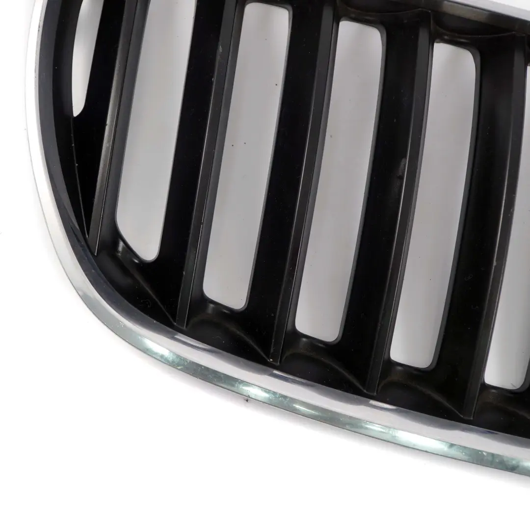 BMW X5 E53 Kratka nerka grill maski prawy - SKU 7113734 - Numer Części 7113734