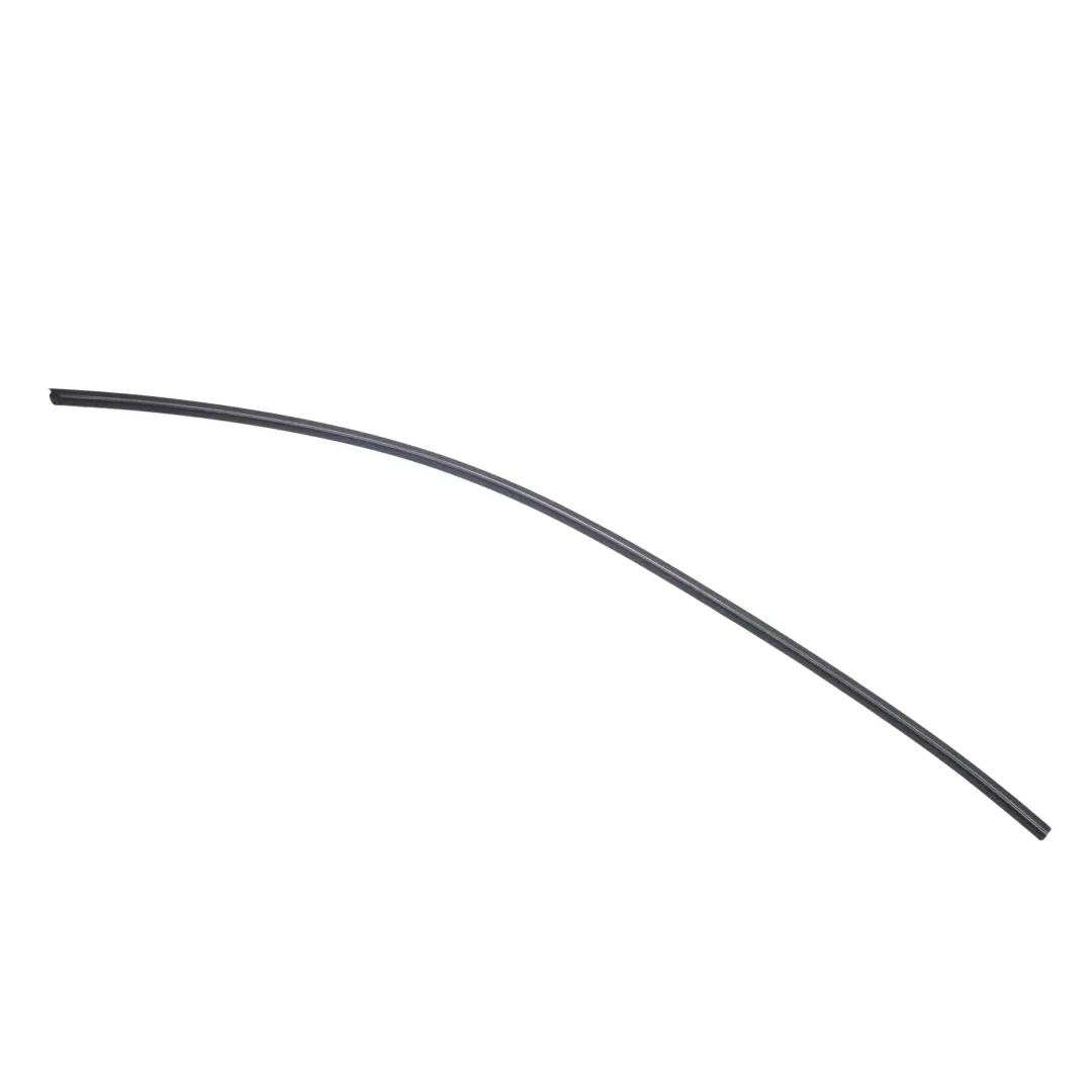 Techo Moldura Tira Marco Lateral Izquierda Negro Mate para BMW E90 con número de pieza 7117243 BMW E90 Techo Moldura Tira Marco Lateral Izquierda Negro Mate - SKU 7117243 - Número de pieza 7117243