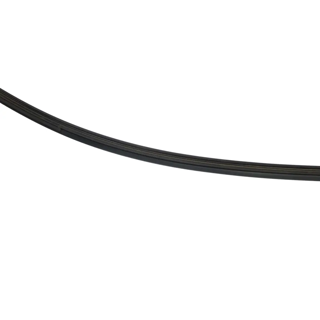 BMW 3 Reihe E90 Zierleiste Seitenrahmen Hinten Links Schwarz Matt - SKU 7117243 - Teilenummer 7117243