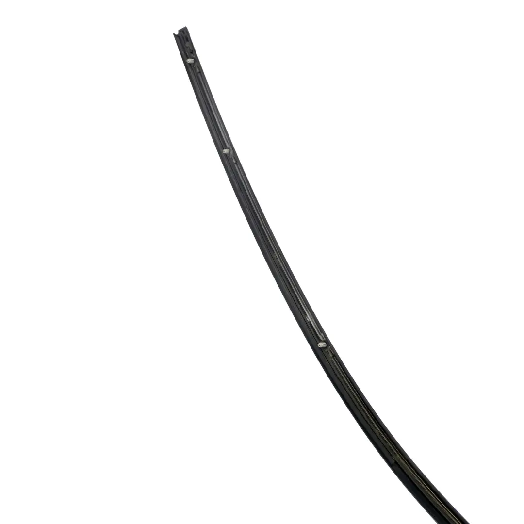 BMW 3 Reihe E90 Zierleiste Seitenrahmen Hinten Links Schwarz Matt - SKU 7117243 - Teilenummer 7117243