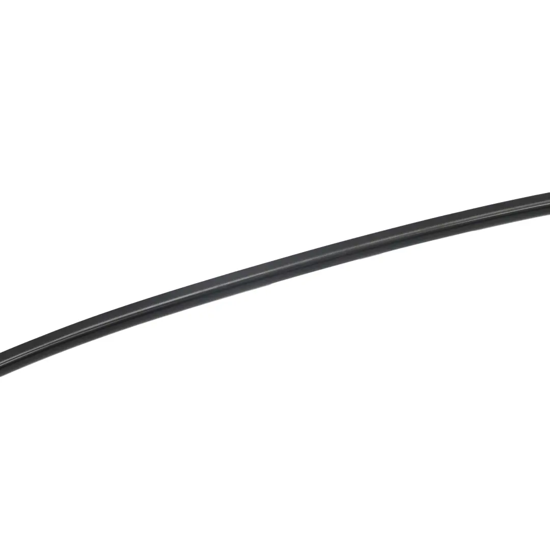 Techo Moldura Tira Marco Lateral Izquierda Negro Mate para BMW E90 con número de pieza 7117243 BMW E90 Techo Moldura Tira Marco Lateral Izquierda Negro Mate - SKU 7117243 - Número de pieza 7117243