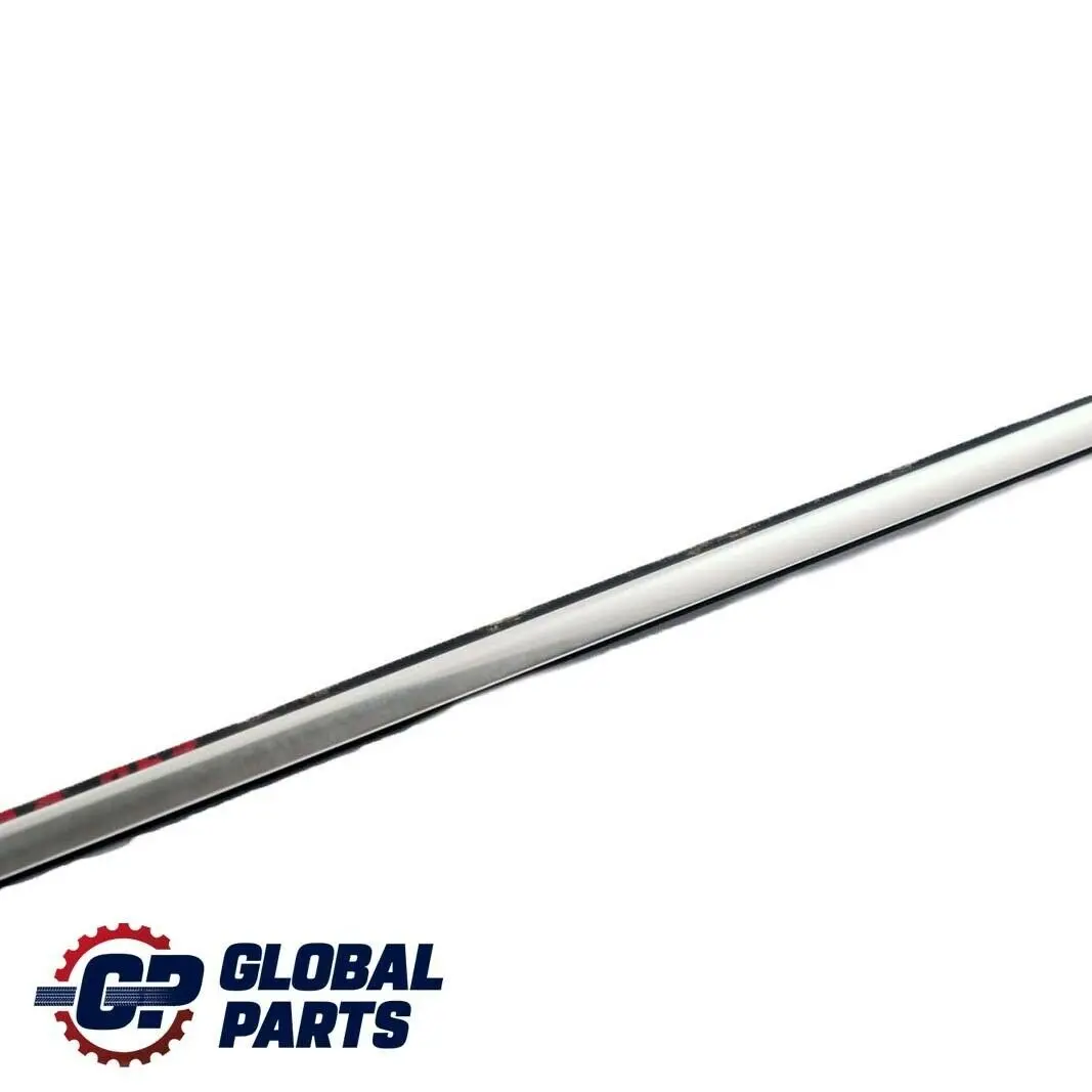 BMW E90 Outer Weatherstrip Rear Right Door O/S Chrome - SKU 7119216 - Part number 7119216