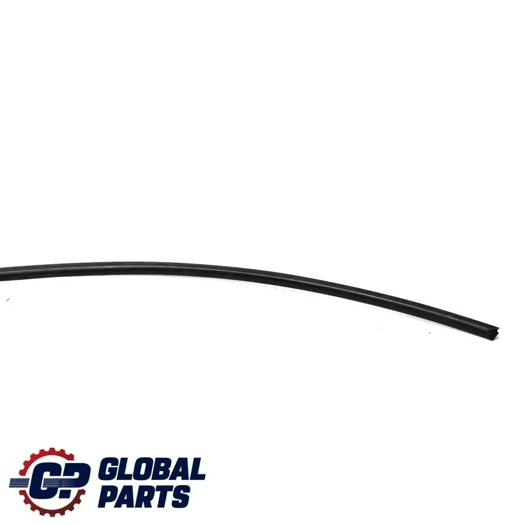 BMW 3 Series E91 E91N LCI Moulding Trim Strip Side Frame Right O/S Matt Black - SKU 7122874 - Part number 7122874