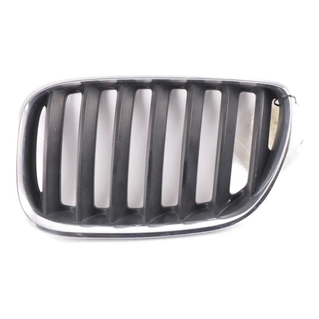 Grille BMW X5 E53 Front Kidney Titan-Line 2 Silver Black Left N/S to with Part number 7124815 Grille BMW X5 E53 Front Kidney Titan-Line 2 Silver Black Left N/S - SKU 7124815-1 - Part number 7124815