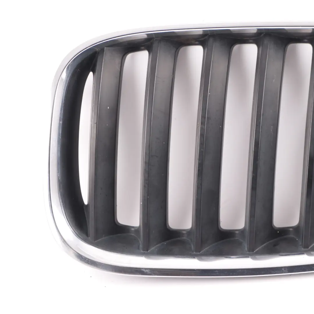  Grille BMW X5 E53 Front Kidney Titan-Line 2 Silver Black Left N/S - SKU 7124815-1 - Part number 7124815