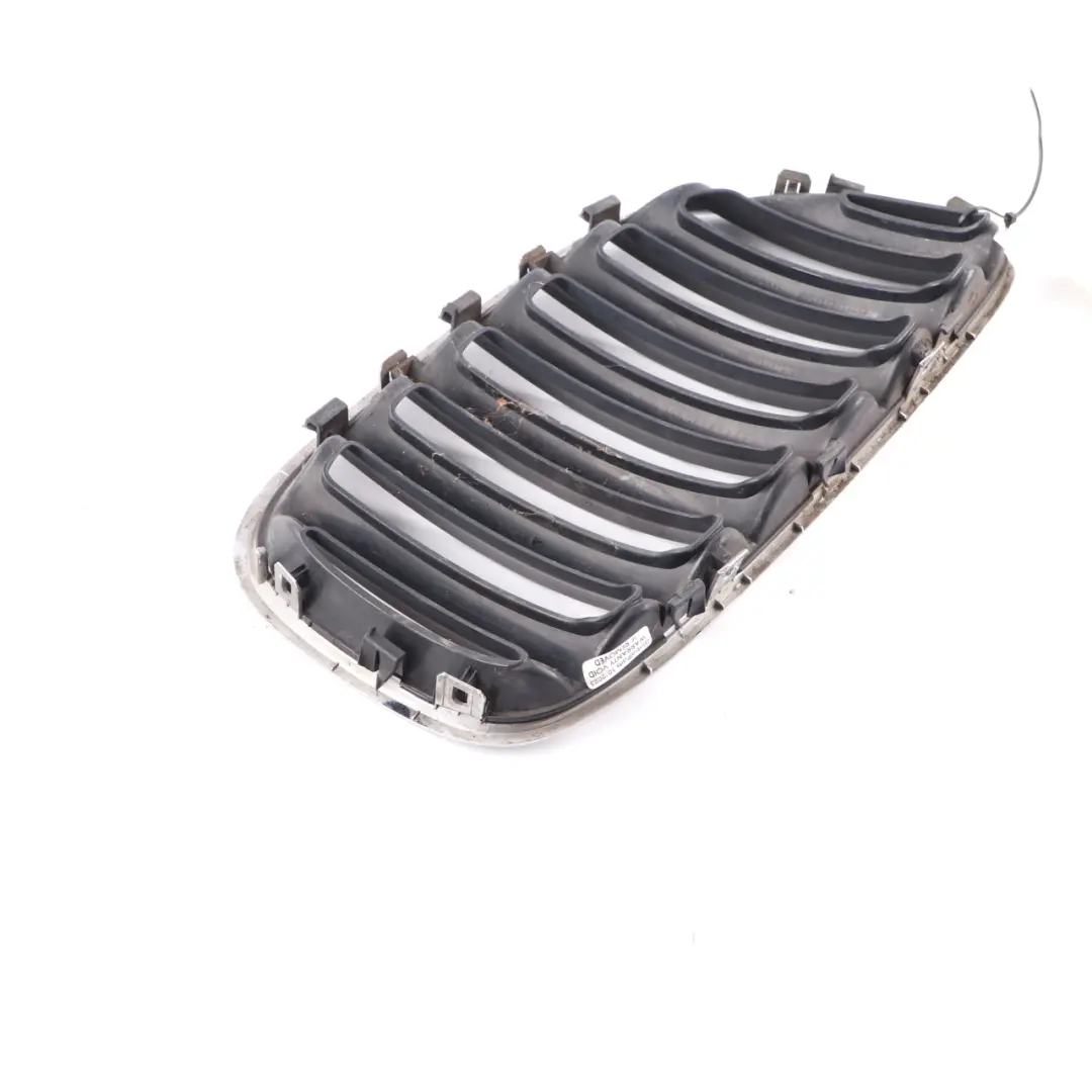  Grille BMW X5 E53 Front Kidney Titan-Line 2 Silver Black Left N/S - SKU 7124815-1 - Part number 7124815