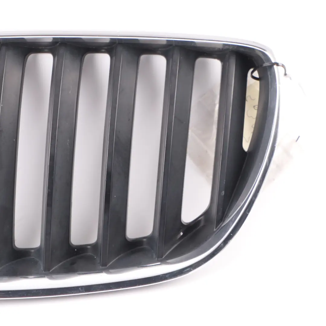 Grille BMW X5 E53 Front Kidney Titan-Line 2 Silver Black Left N/S to with Part number 7124815 Grille BMW X5 E53 Front Kidney Titan-Line 2 Silver Black Left N/S - SKU 7124815-1 - Part number 7124815