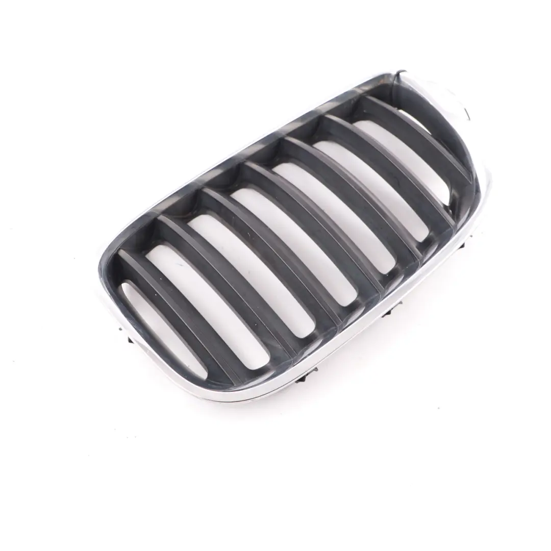 Grille BMW X5 E53 Front Kidney Titan-Line 2 Silver Black Left N/S to with Part number 7124815 Grille BMW X5 E53 Front Kidney Titan-Line 2 Silver Black Left N/S - SKU 7124815-1 - Part number 7124815