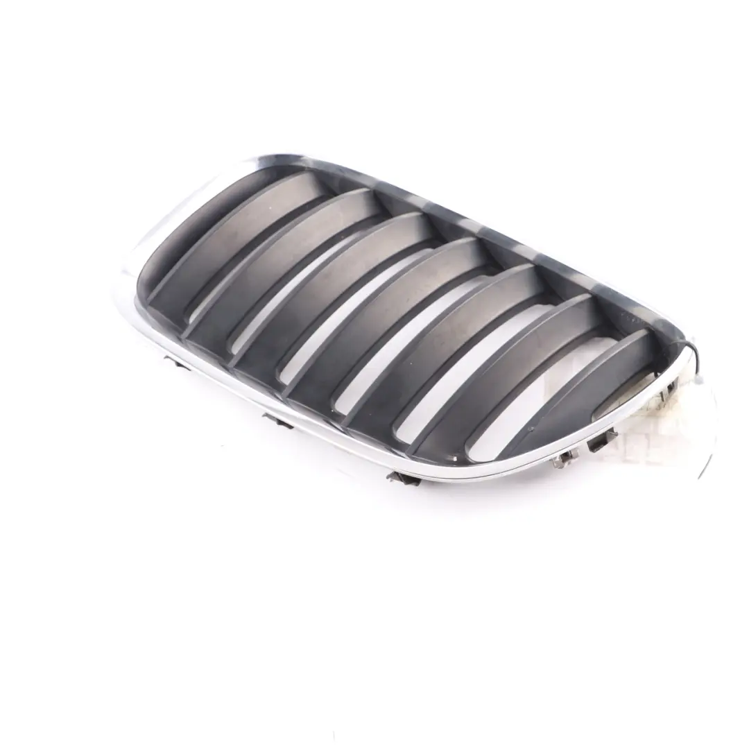  Grille BMW X5 E53 Front Kidney Titan-Line 2 Silver Black Left N/S - SKU 7124815-1 - Part number 7124815