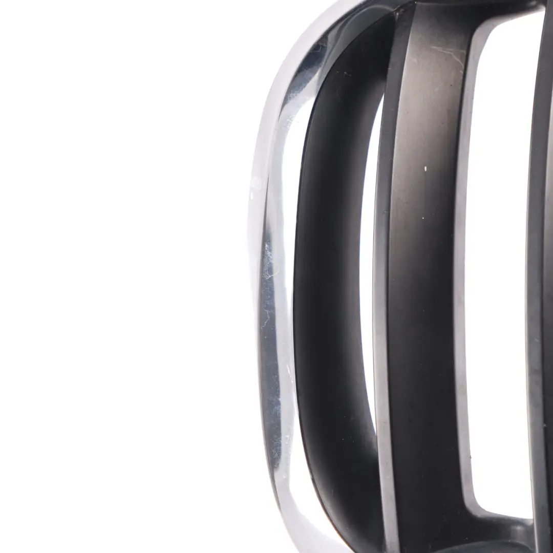 Grille BMW X5 E53 Front Kidney Titan-Line 2 Silver Black Left N/S to with Part number 7124815 Grille BMW X5 E53 Front Kidney Titan-Line 2 Silver Black Left N/S - SKU 7124815-1 - Part number 7124815