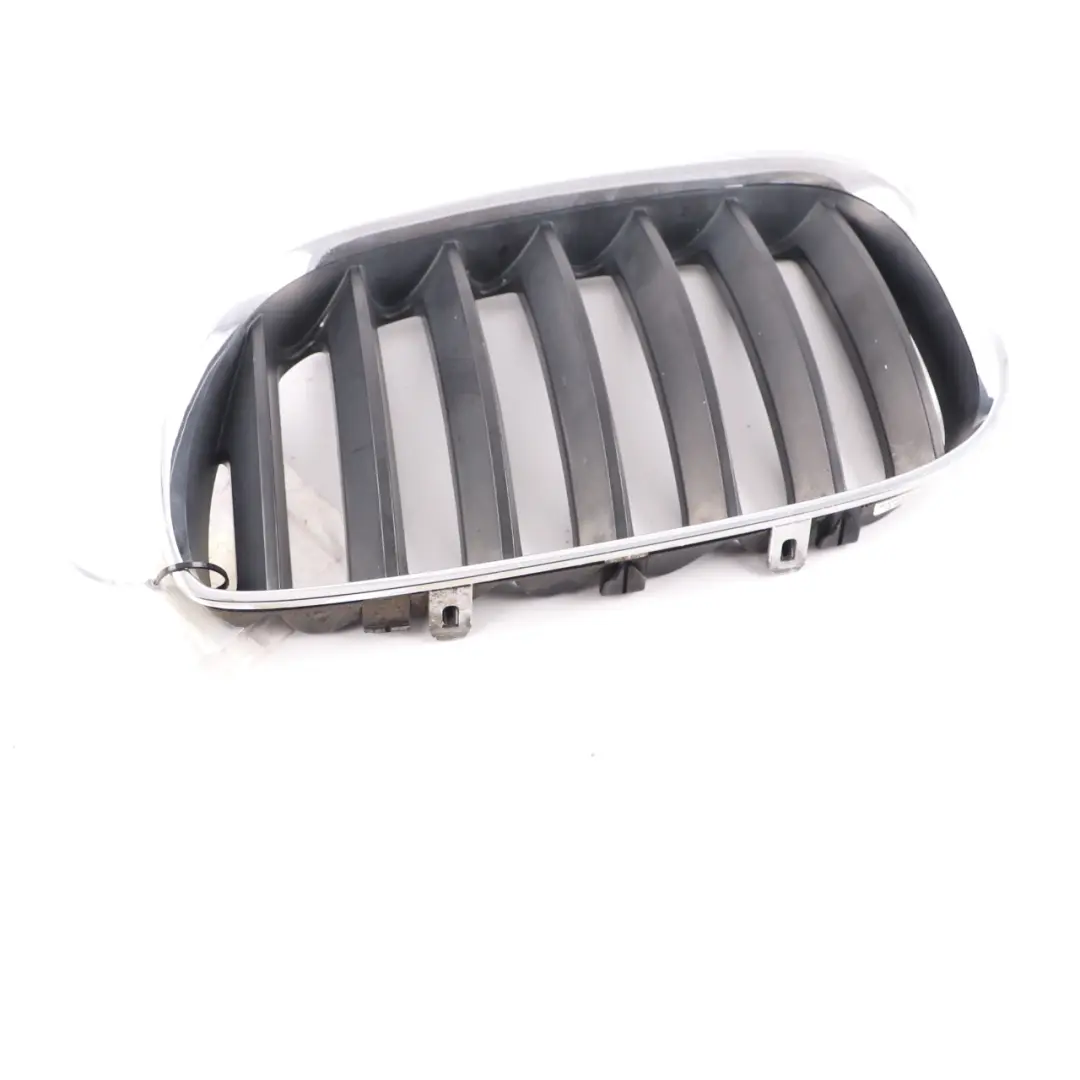  Grille BMW X5 E53 Front Kidney Titan-Line 2 Silver Black Left N/S - SKU 7124815-1 - Part number 7124815