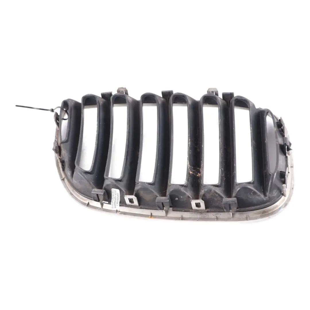 Grille BMW X5 E53 Front Kidney Titan-Line 2 Silver Black Left N/S to with Part number 7124815 Grille BMW X5 E53 Front Kidney Titan-Line 2 Silver Black Left N/S - SKU 7124815-1 - Part number 7124815