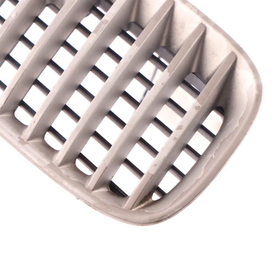 Grille D'Aération De Capot Droite Titan Line pour BMW X5 E53 à propos du numéro de pièce 7124824 BMW X5 E53 Grille D'Aération De Capot Droite Titan Line - SKU 7124824 - Numéro de pièce 7124824