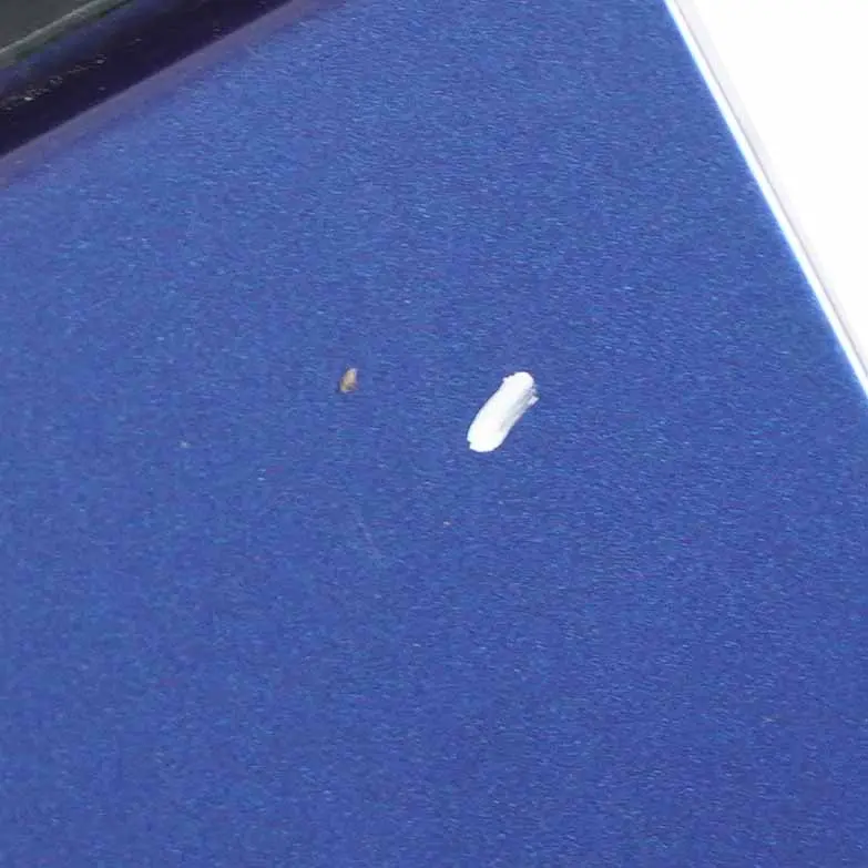 Klapa Bagażnika Le Mans Blue - 381 do BMW X5 E53 o numerze 7126015 BMW X5 E53 Klapa Bagażnika Le Mans Blue - 381 - SKU 7126015-LMB - Numer Części 7126015