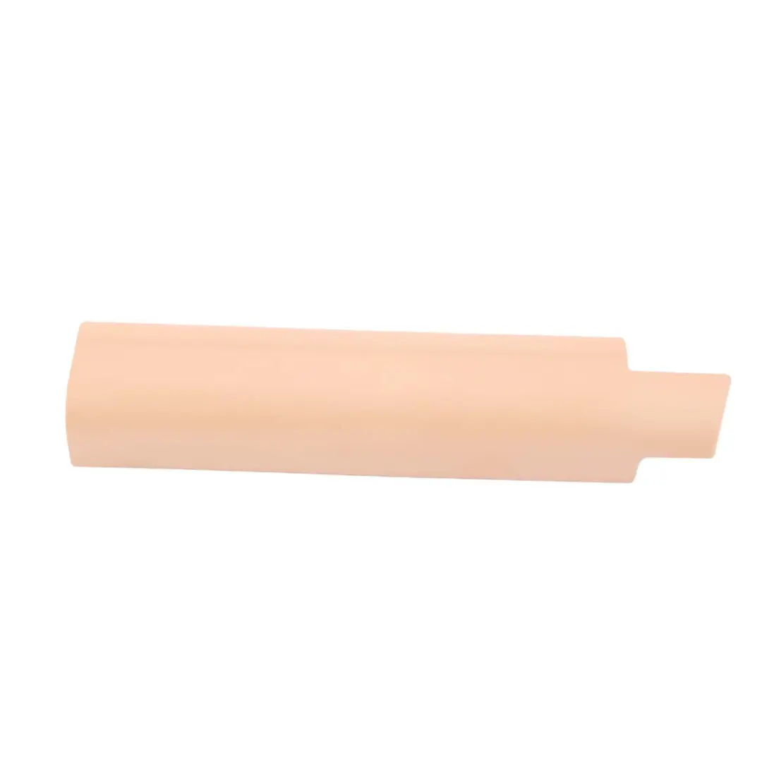 Finisher Upper Rail Front Right O/S Beige 7126634 to BMW 7 Series E65 E66 E67 with Part number 7126906 BMW 7 Series E65 E66 E67 Finisher Upper Rail Front Right O/S Beige 7126634 - SKU 7126906 - Part number 7126906
