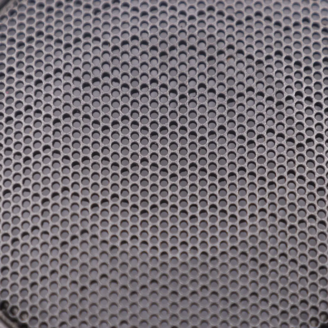 Cubre Altavoz Puerta Delantera Izquierda Derecha Gris Plata para BMW Z4 E85 con número de pieza 7128899 BMW Z4 E85 Cubre Altavoz Puerta Delantera Izquierda Derecha Gris Plata - SKU 7128899 - Número de pieza 7128899