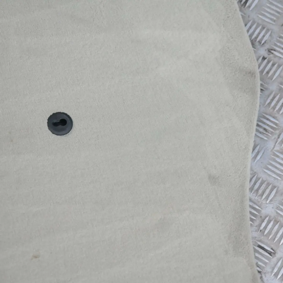 Sottofondo Portabagagli Carenatura Pastellgrun per BMW X5 E53 con numero di parte 7129743 BMW X5 E53 Sottofondo Portabagagli Carenatura Pastellgrun - SKU 7129743 - Numero di parte 7129743