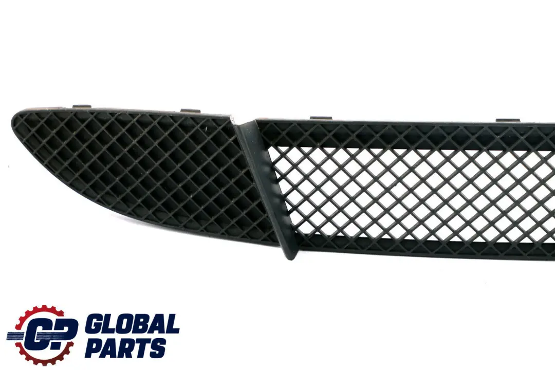 BMW E87 Front Bumper Grill Grid Panel - SKU 7131690 - Part number 7131690