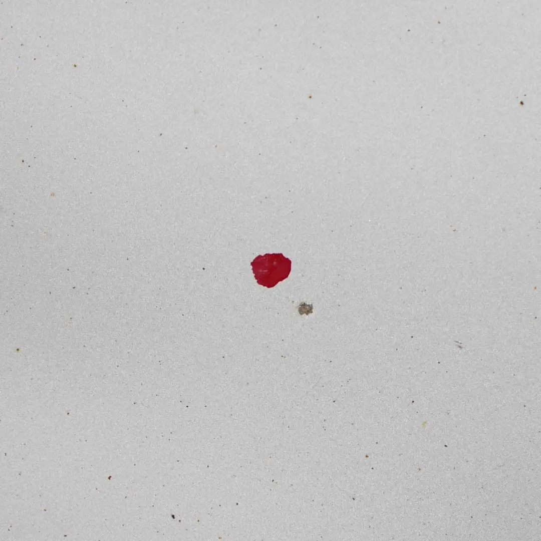 Seitenteil Kotflügel vorne Rechts Titansilber Silber - 354 für BMW E81 E87 mit Teilenummer 7133228 BMW E81 E87 Seitenteil Kotflügel vorne Rechts Titansilber Silber - 354 - SKU 7133228-TS4 - Teilenummer 7133228