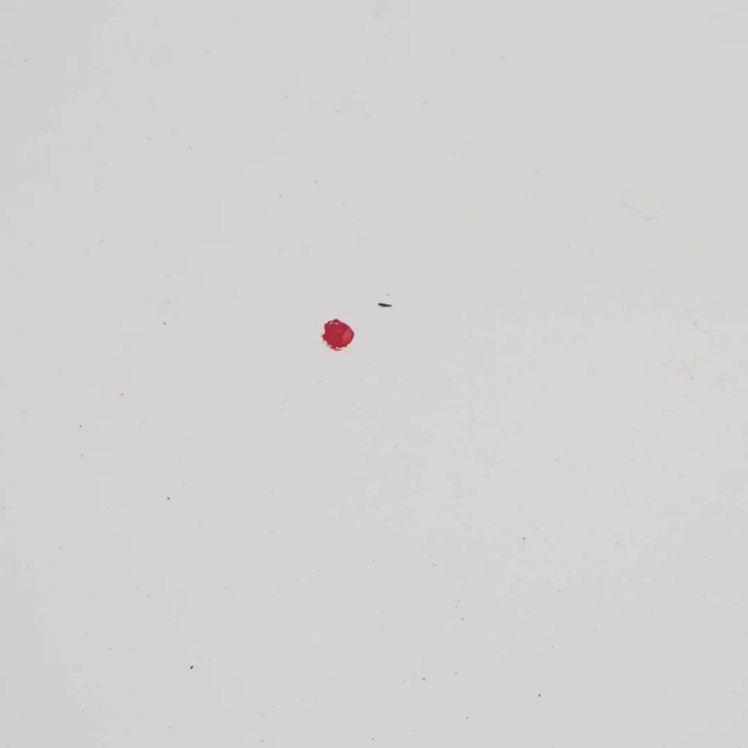 Boot Trunk Lid Tailgate Boot Lid Alpinweiss 3 Alpine White - 300 to BMW E81 E87 with Part number 7133898 BMW E81 E87 Boot Trunk Lid Tailgate Boot Lid Alpinweiss 3 Alpine White - 300 - SKU 7133898-AW - Part number 7133898