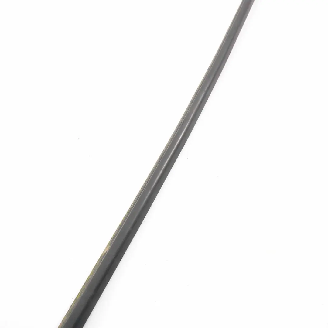 BMW X5 E70 Coprire canale finestra porta anteriore sinistra Striscia Nero - SKU 7136965 - Numero di parte 7136965
