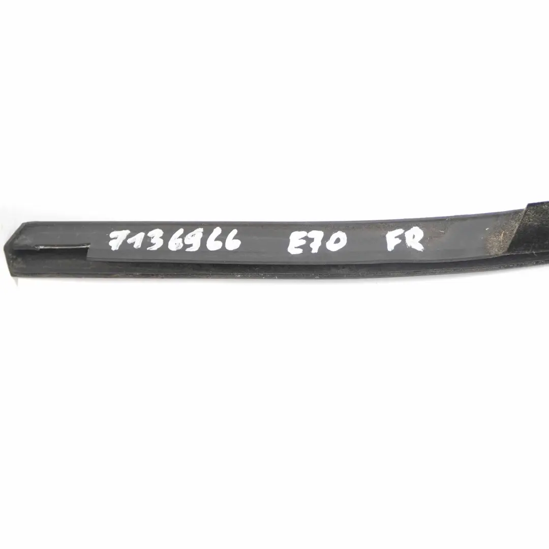 BMW X5 E70 Window Channel Cover Door Front Right O/S Black - SKU 7136966 - Part number 7136966