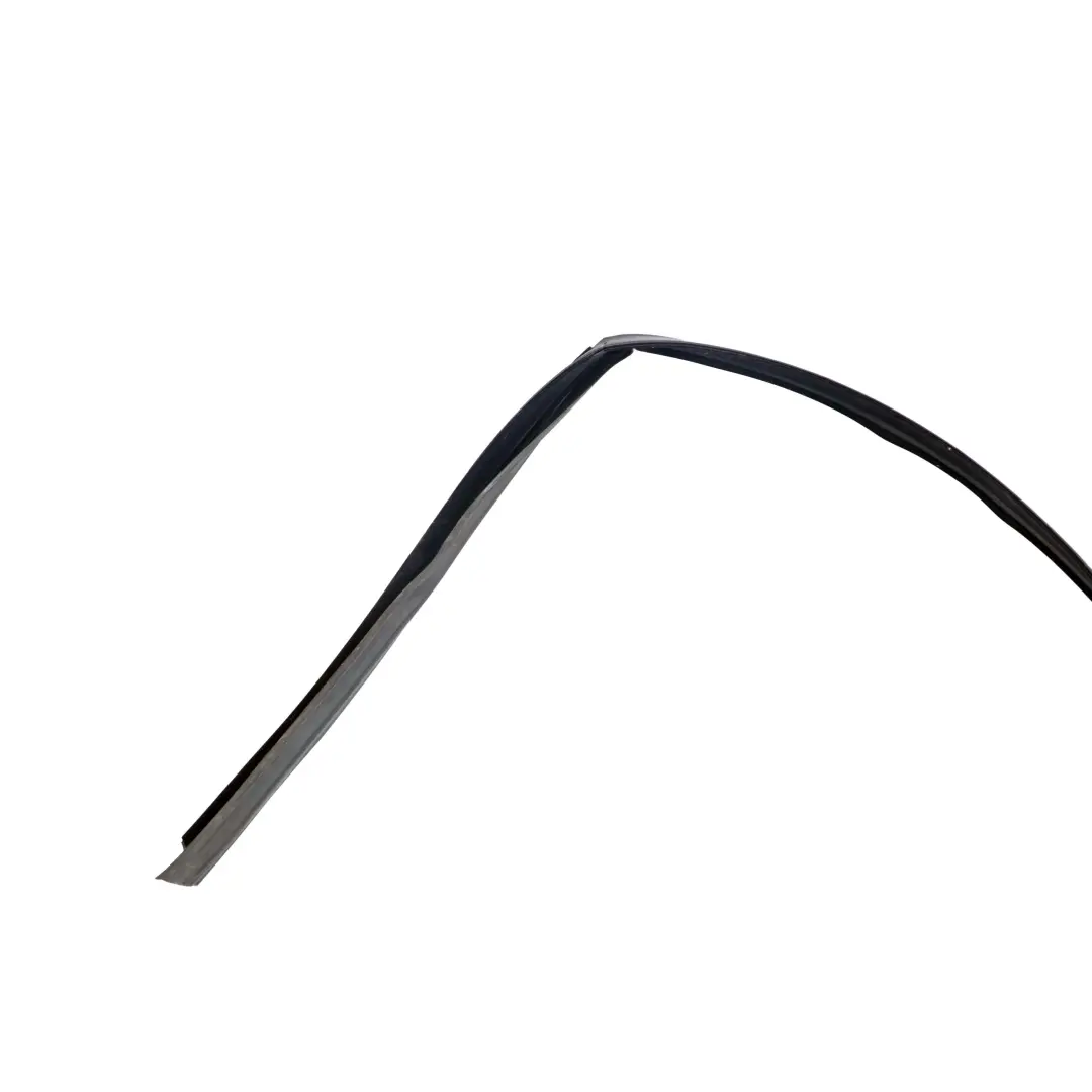 BMW X5 E70 Window Guide Seal Gasket Right Front Door O/S - SKU 7136974 - Part number 7136974