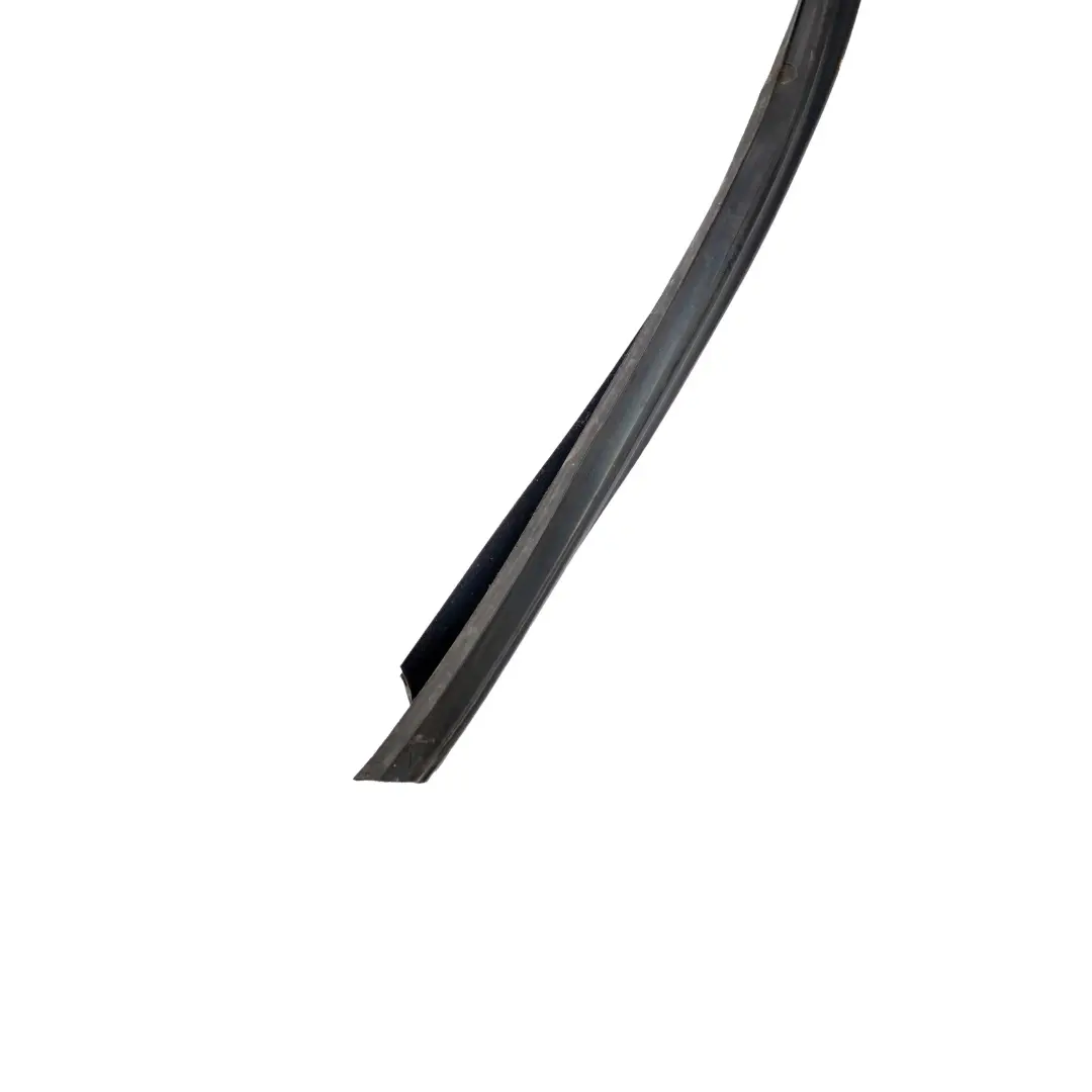 BMW E70 Ventana Guia Junta De sellado Puerta Delantera Derecha - SKU 7136974 - Número de pieza 7136974