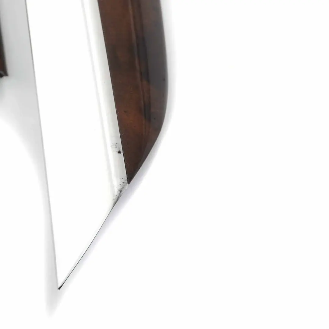 Door Strip Rear Left Right N/O/S Trim Wood Poplar Grain Light Set to BMW X5 E70 with Part number 7137201 BMW X5 E70 Door Strip Rear Left Right N/O/S Trim Wood Poplar Grain Light Set - SKU 7137201/7137202 - Part number 7137201