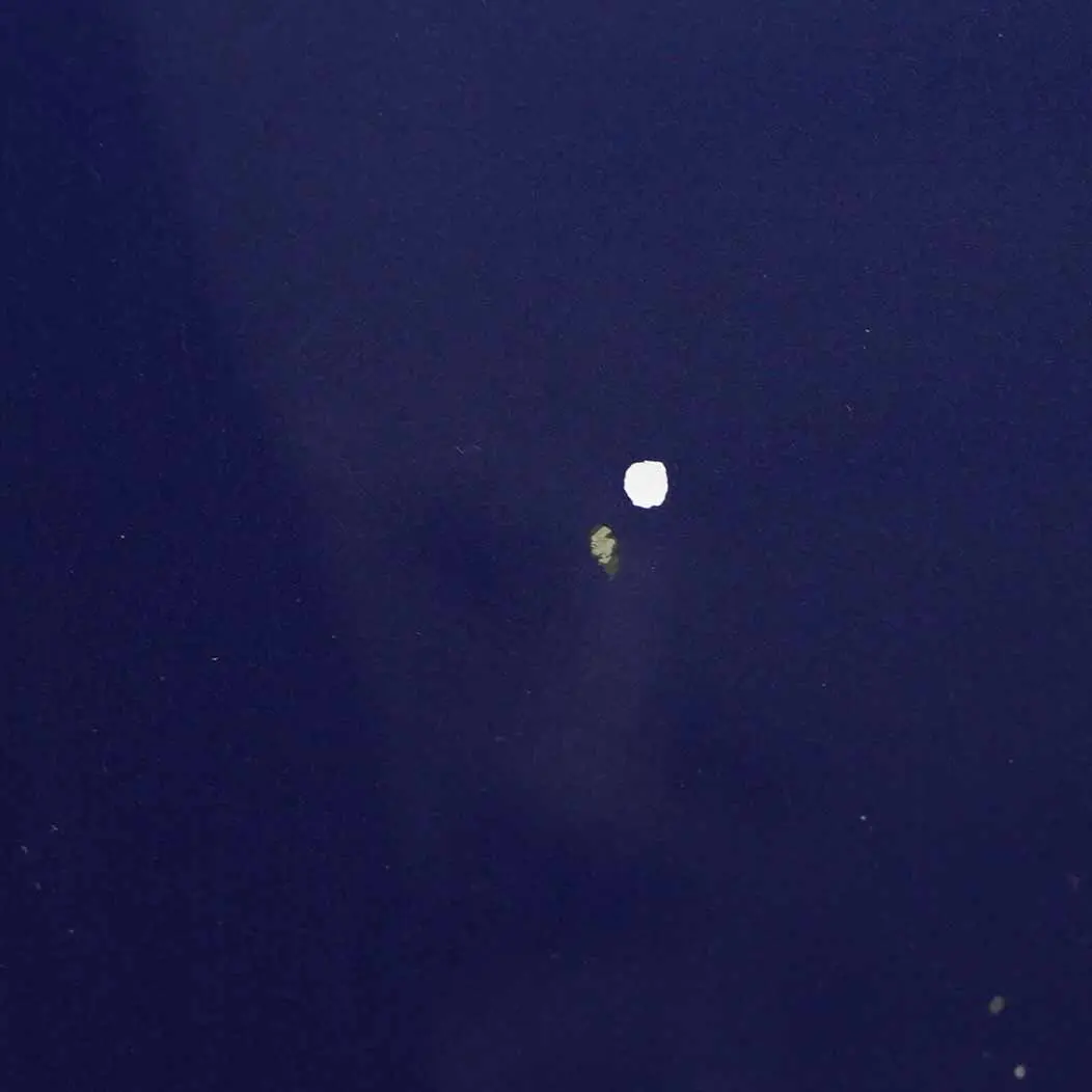 BMW E90 E91 Hood Bonnet Engine Front Cover Panel Le Mans Blue Metallic - 381 - SKU 7140729-LMB2 - Part number 7140729