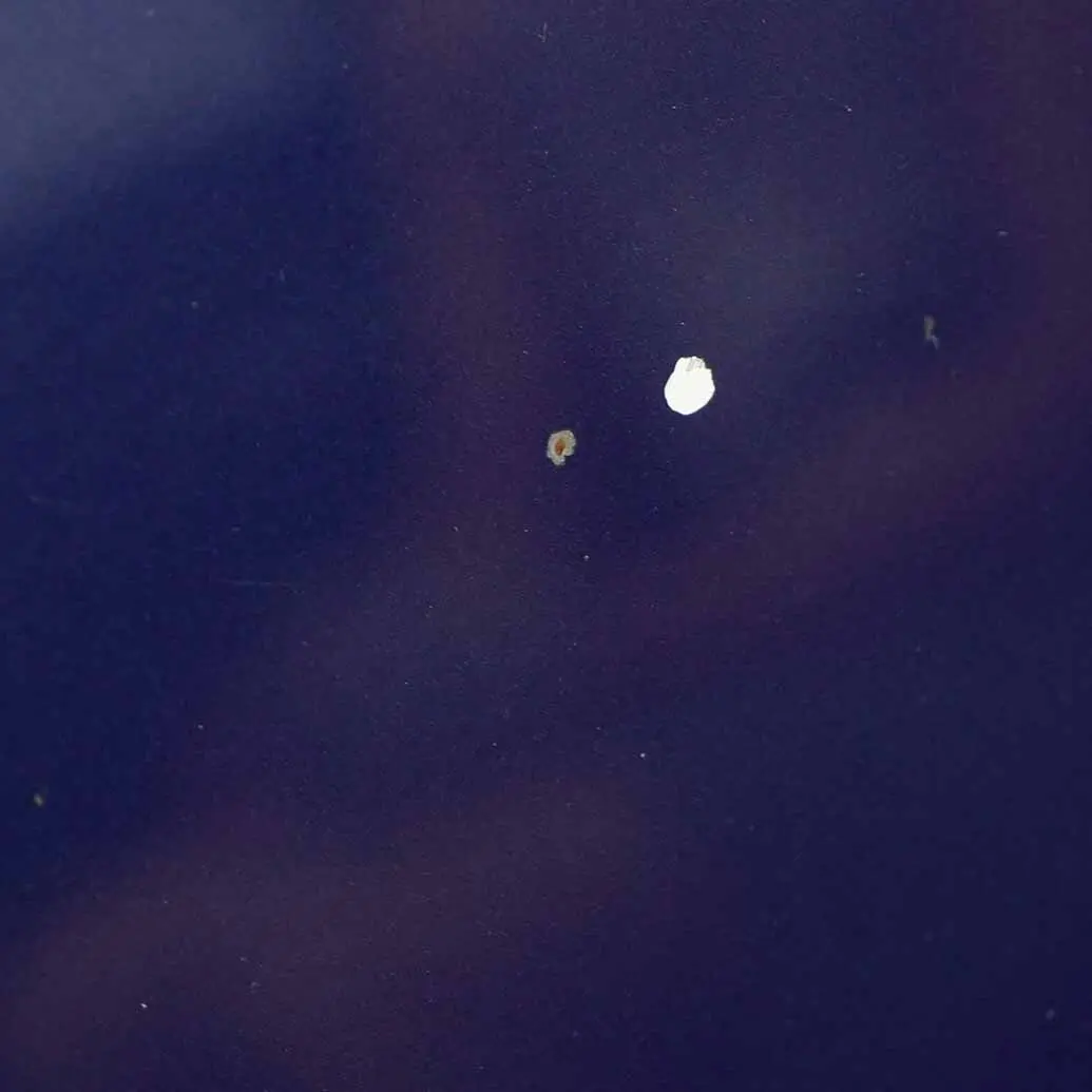 Hood Bonnet Engine Front Cover Panel Le Mans Blue Metallic - 381 to BMW E90 E91 with Part number 7140729 BMW E90 E91 Hood Bonnet Engine Front Cover Panel Le Mans Blue Metallic - 381 - SKU 7140729-LMB2 - Part number 7140729