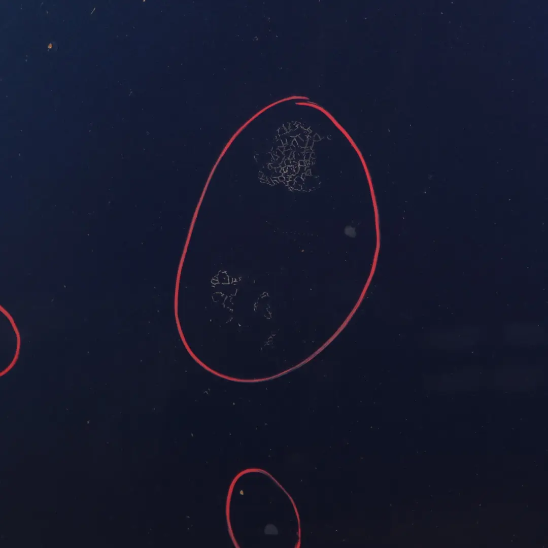 BMW E90 E91 Bonnet Front Hood Montegoblau Montego Blue Metallic - A51 - SKU 7140729-MTB - Part number 7140729