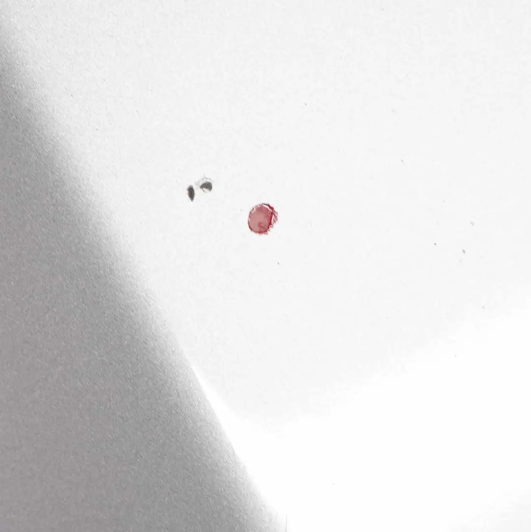 BMW E90 E91 Maska Pokrywa Titansilber - 354 - SKU 7140729-TS8 - Numer Części 7140729