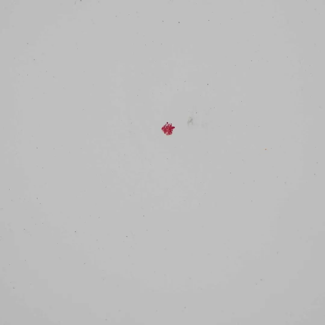 Maska Pokrywa Silnika Titansilber do BMW E90 E91 LCI o numerze 7153940 BMW E90 E91 LCI Maska Pokrywa Silnika Titansilber - SKU 7153940-AW1 - Numer Części 7153940