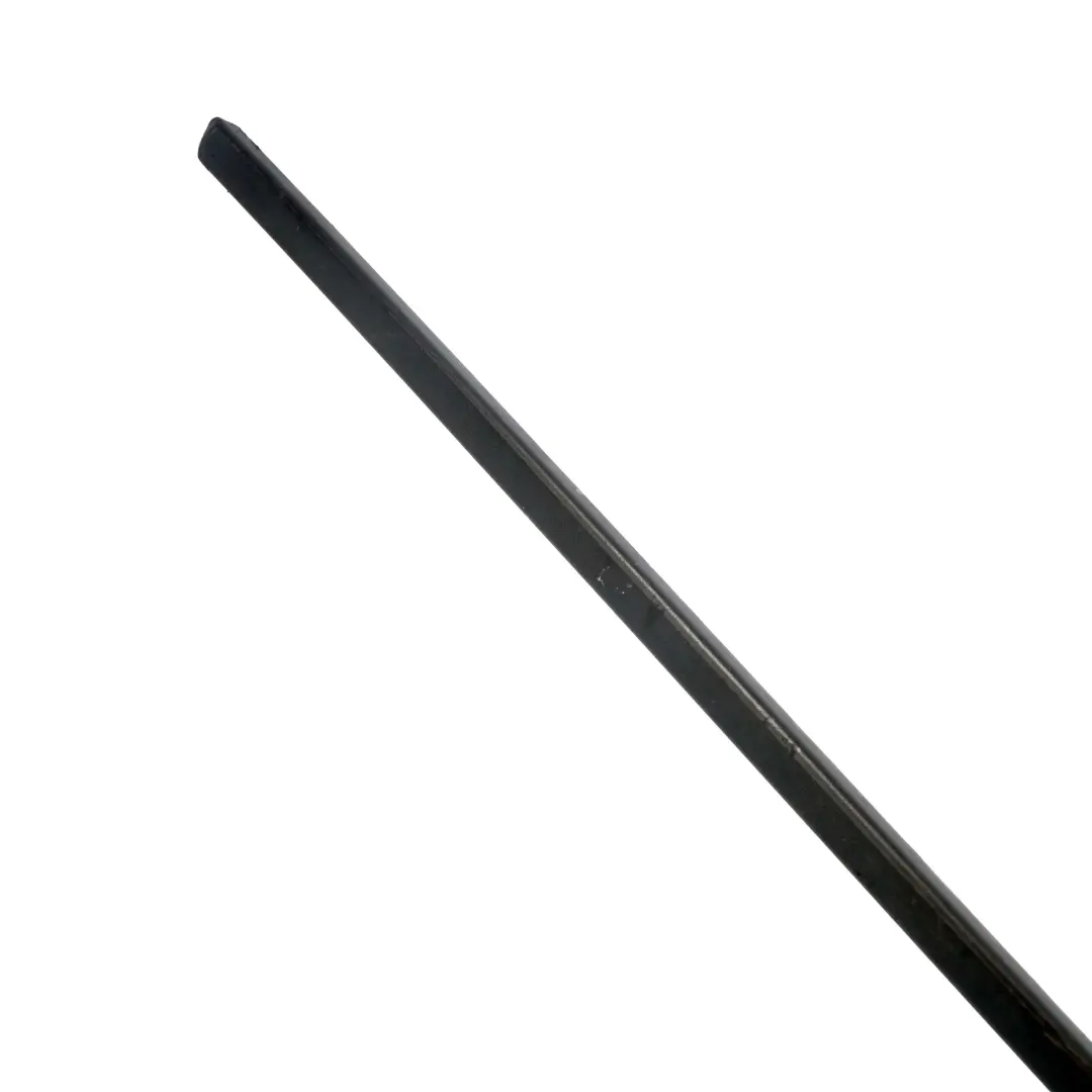  Door Moulding Strip BMW X5 E70 Front Left N/S Trim Covering Panel - SKU 7158533 - Part number 7158533