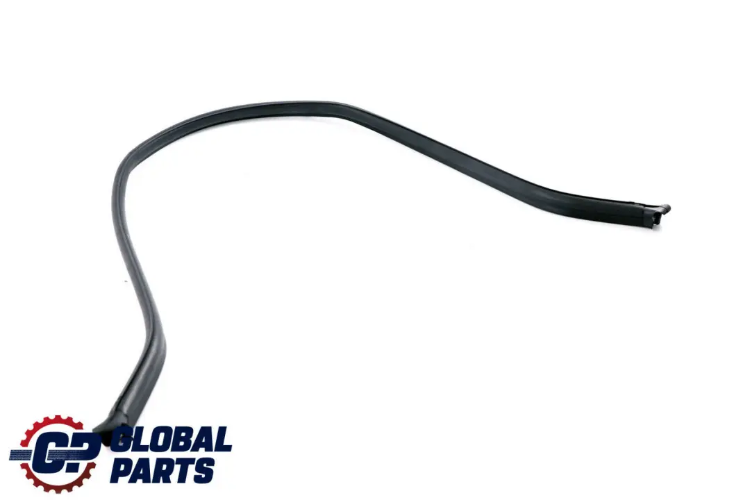BMW X5 E70 Abdichtung Vorne Klappe Hinten - SKU 7161345 - Teilenummer 7161345