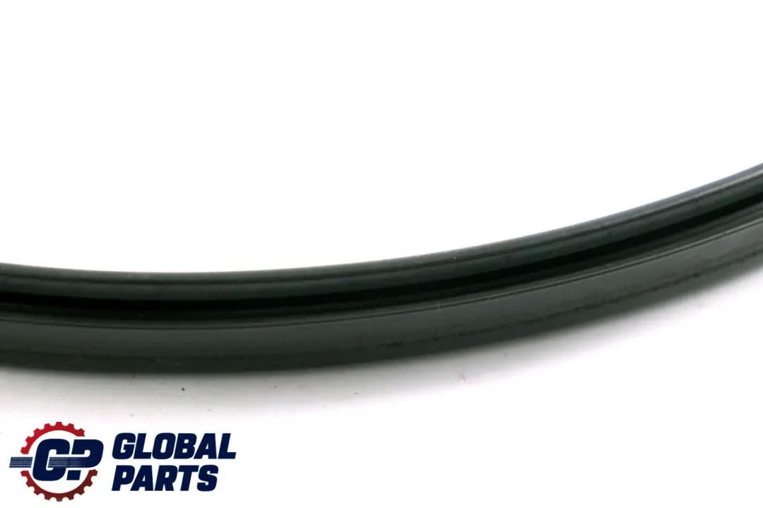 BMW X5 E70 Abdichtung Vorne Klappe Hinten - SKU 7161345 - Teilenummer 7161345