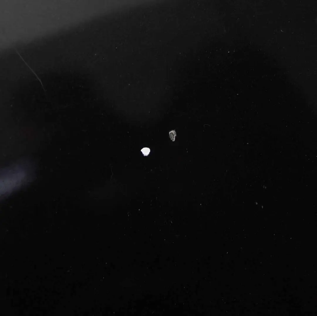 Hood Bonnet Cover Panel Black Sapphire Metallic - 475 to BMW E81 E87 with Part number 7162102 BMW E81 E87 Hood Bonnet Cover Panel Black Sapphire Metallic - 475 - SKU 7162102-BS4 - Part number 7162102