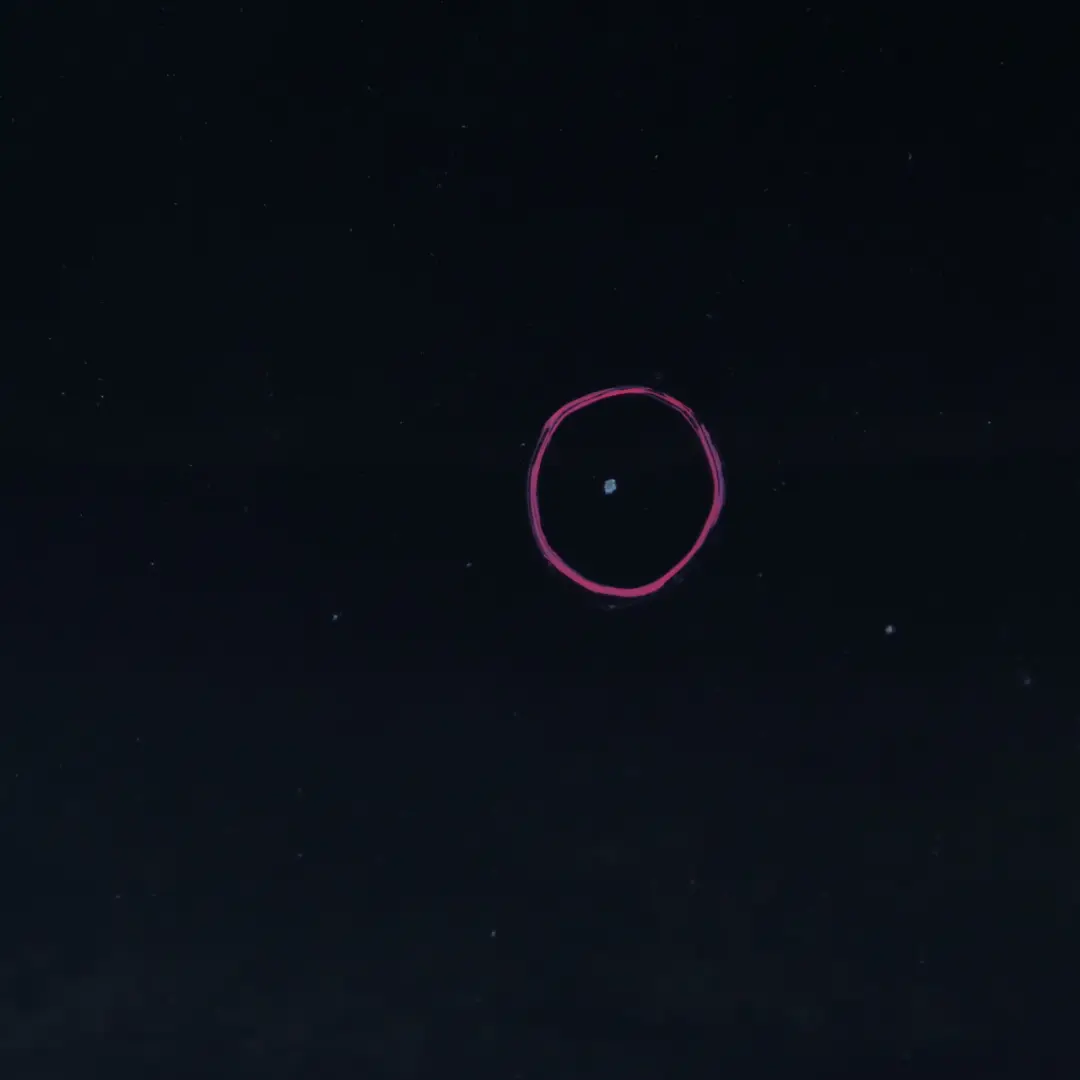 Hood Bonnet Cover Panel Black Sapphire Metallic - 475 to BMW E81 E87 with Part number 7162102 BMW E81 E87 Hood Bonnet Cover Panel Black Sapphire Metallic - 475 - SKU 7162102-BS7 - Part number 7162102