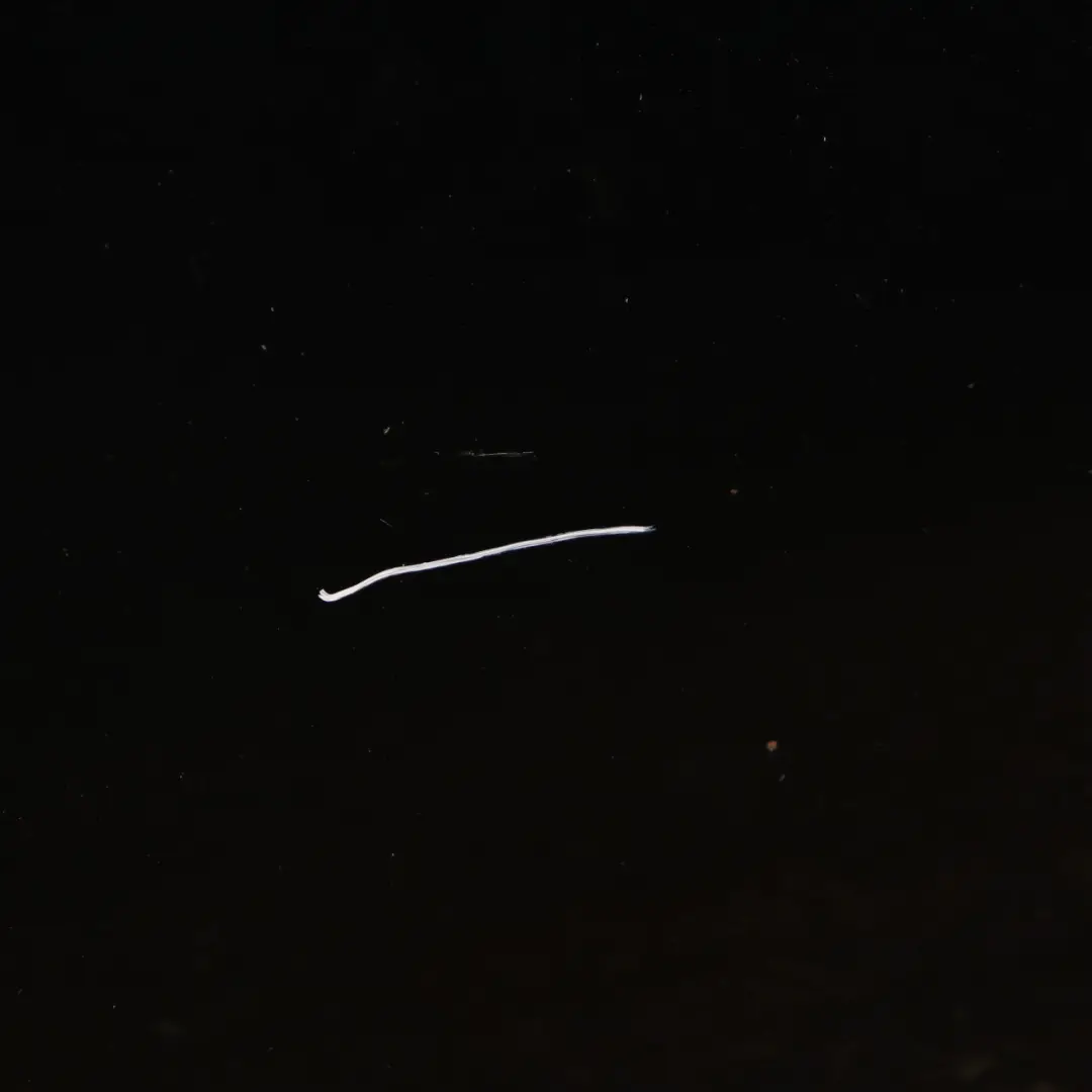 Hood Bonnet Cover Panel Schwarz 2 Black - 668 to BMW E81 E87 with Part number 7162102 BMW E81 E87 Hood Bonnet Cover Panel Schwarz 2 Black - 668 - SKU 7162102-SCH2 - Part number 7162102