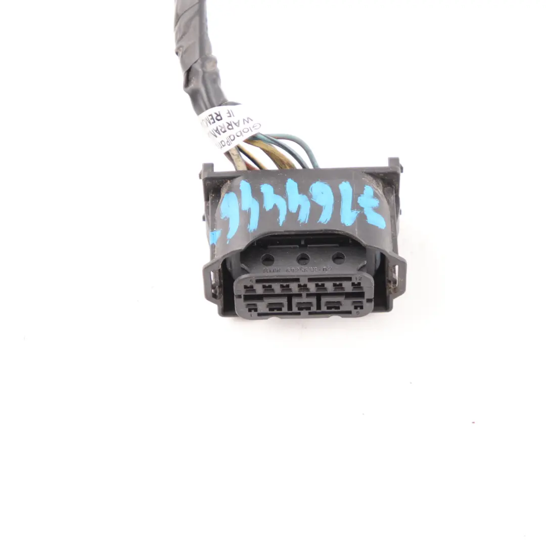 Enchufe BMW X5 E53 Faro Delantero Derecho Cableado 6925638 - SKU 7164446-2 - Número de pieza 7164446