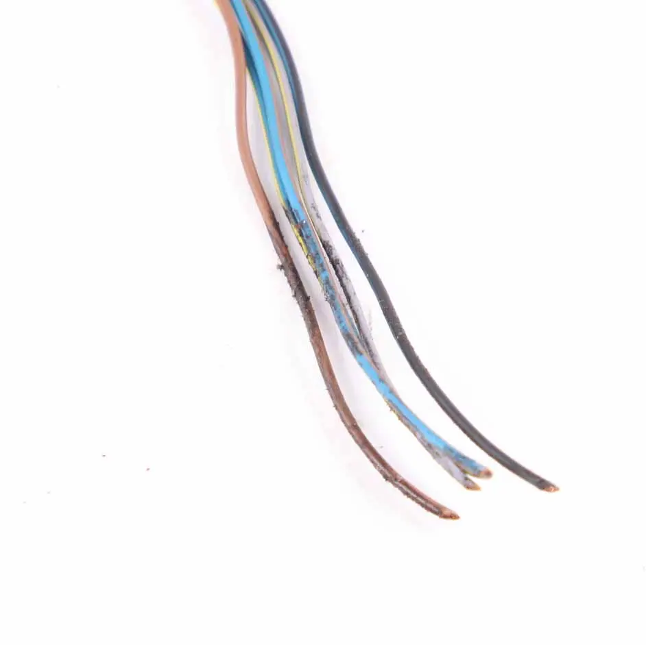 Lichtkabel Lampenfassung Stecker Verdrahtung hinten rechts Side Panel für Mini R50 mit Teilenummer 7166956 Mini R50 Lichtkabel Lampenfassung Stecker Verdrahtung hinten rechts Side Panel - SKU 7166956-3 - Teilenummer 7166956