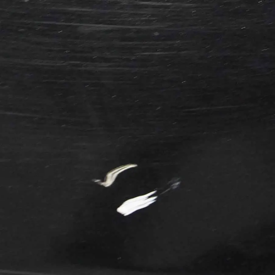 £BMW E92 E93 Bonnet Hood Front Black Sapphire Metallic - 475 to with Part number 7168514 £BMW E92 E93 Bonnet Hood Front Black Sapphire Metallic - 475 - SKU 7168514-BS1 - Part number 7168514